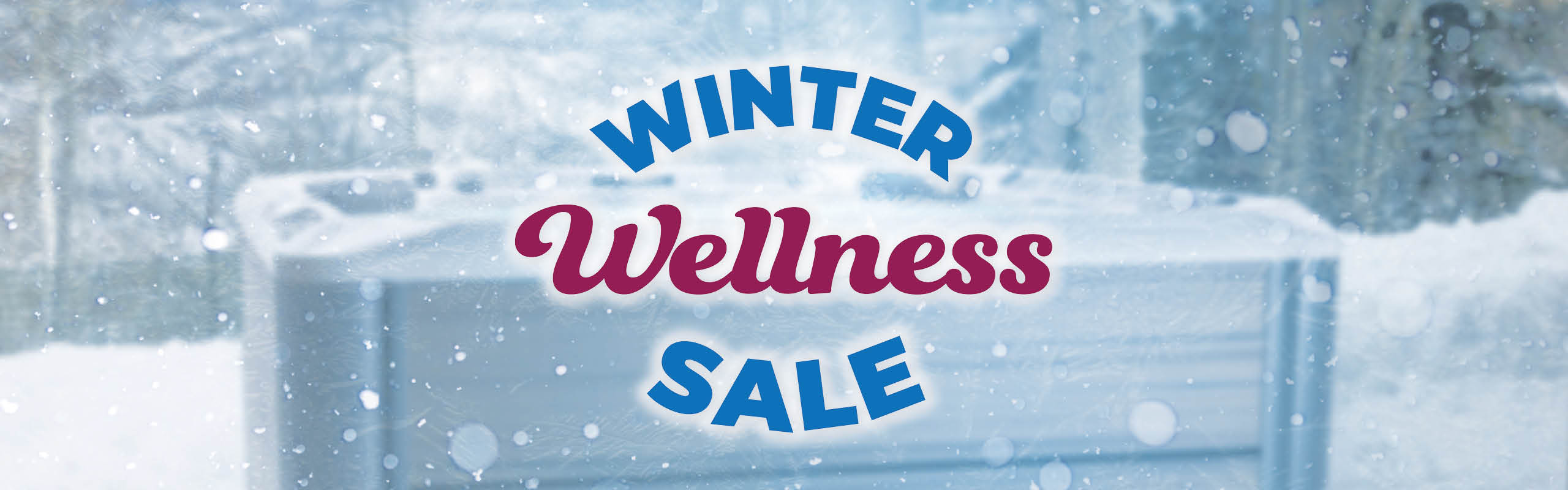 Winter Wellness Specials Page Banner